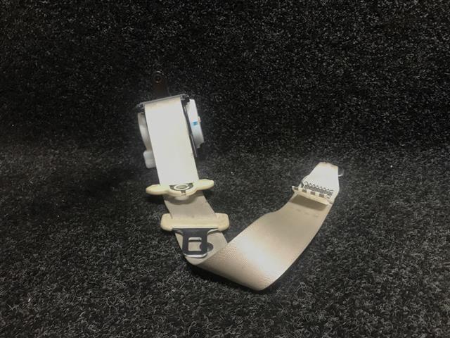 Rr Rear Seat Belt