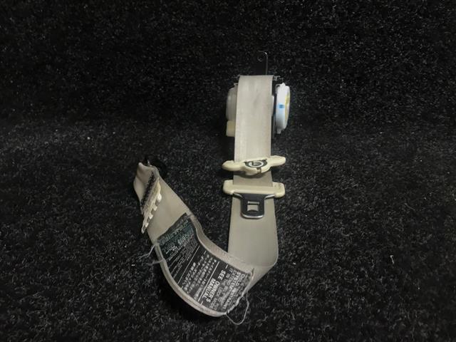 Rr Seat Belt