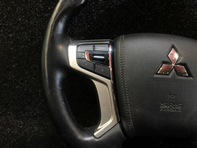 Steering Wheel Controls Lh