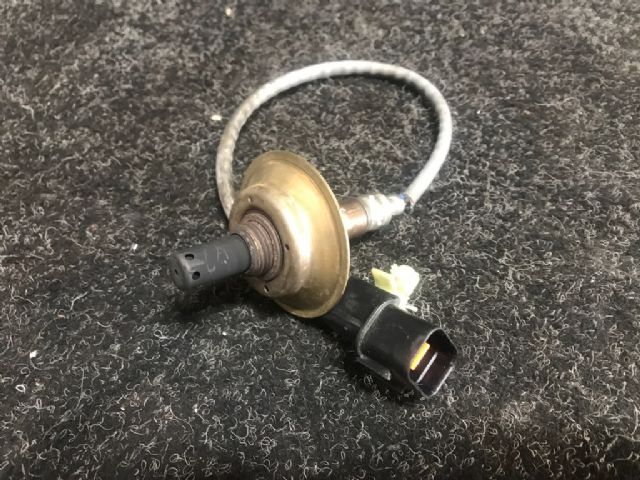 Exhaust Oxy Sensor