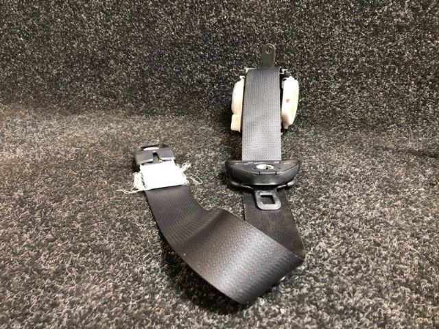 Rr Seat Belt
