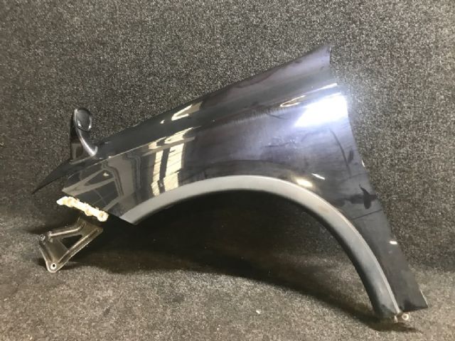 Lf Guard Mirror