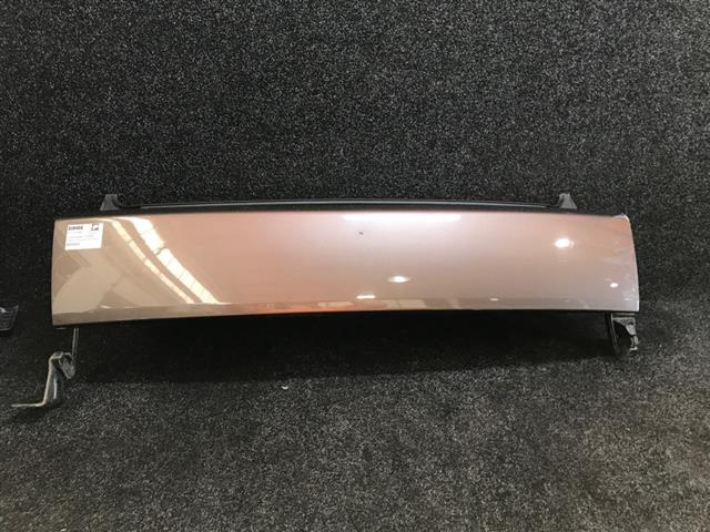 Lower Tailgate Complete