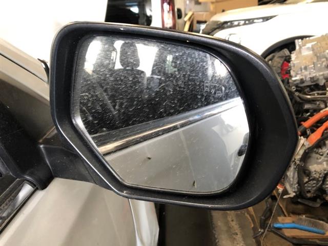 Rf Door Mirror Glass