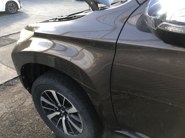 Lf Guard/fender Wide Body (non Repeater)