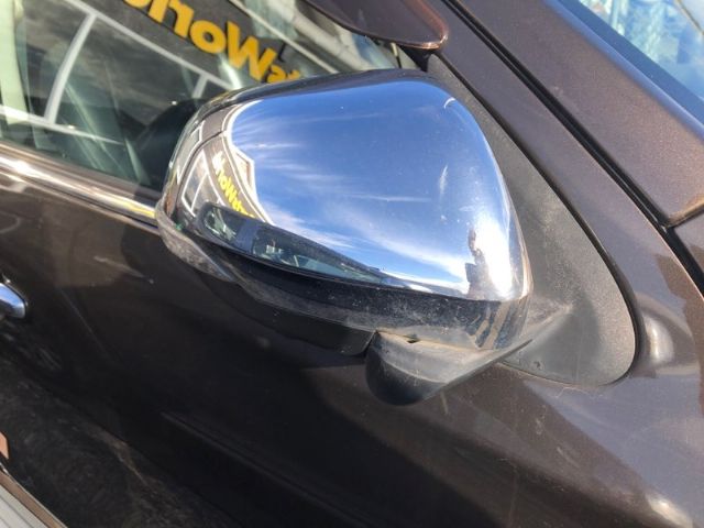 Rf Door Elec Mirror (13 Wire)