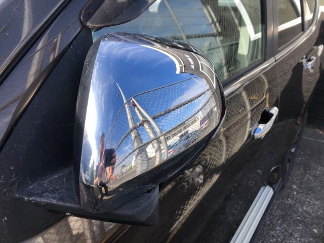 Lf Door Elec Mirror (13 Wire)