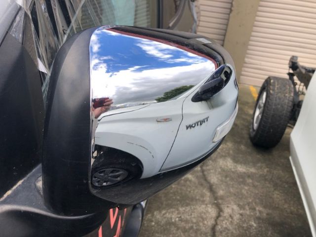 Lf Door Elec Mirror (7 Wire)