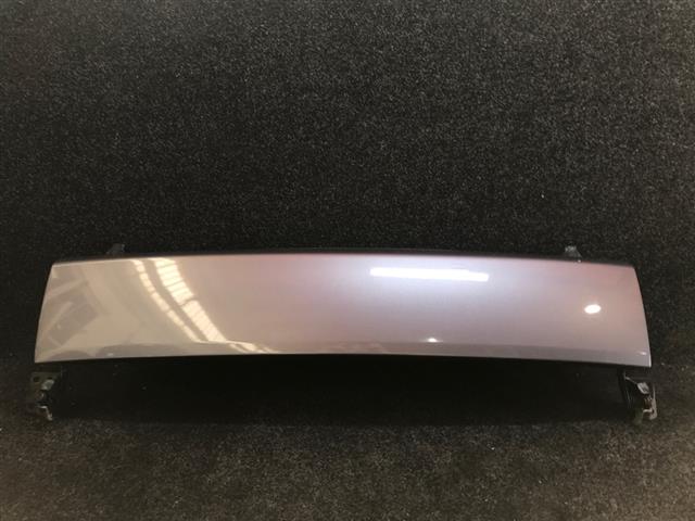 Lower Tailgate Complete