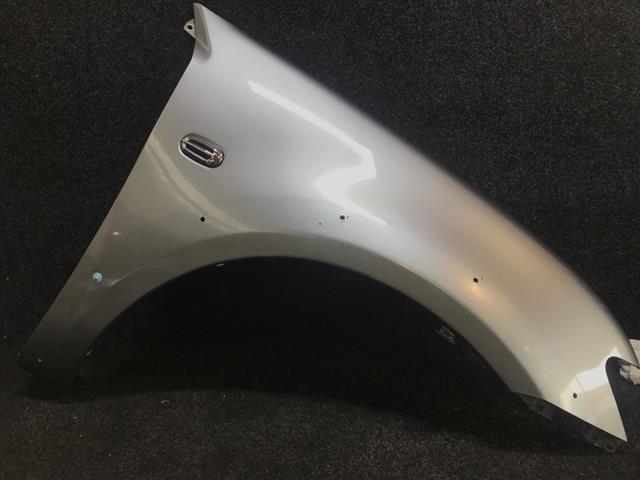 Rf Guard/fender (flare Type)