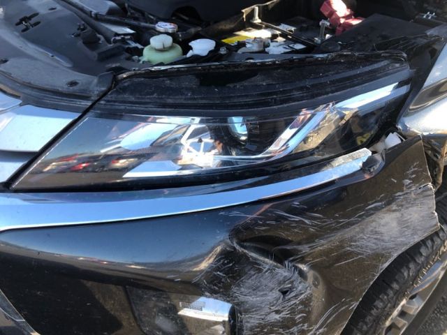 Lf Bumper Light (3 Bulb)