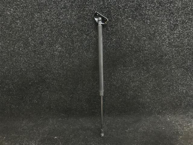 R Tailgate Strut