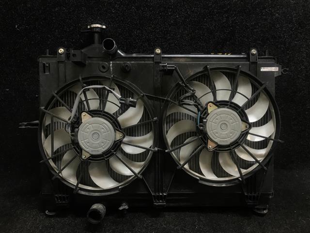 Radiator Electric Fan Assembly