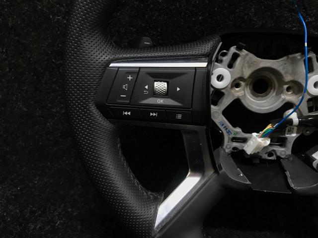 Steering Wheel Controls Lh