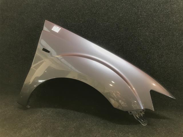 Rf Guard/fender