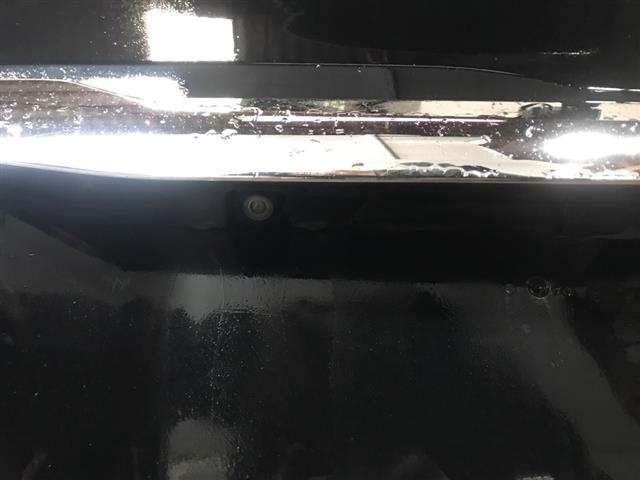 Rear Camera
