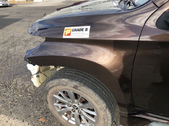 Lf Guard/fender