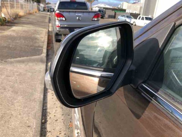 Lf Door Elec Mirror (7 Wire)