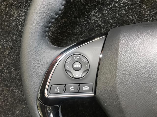 Steering Wheel Controls Lh