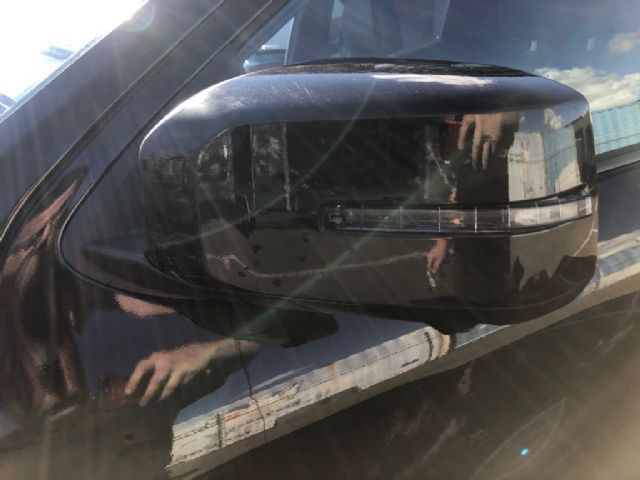 Lf Door Elec Mirror