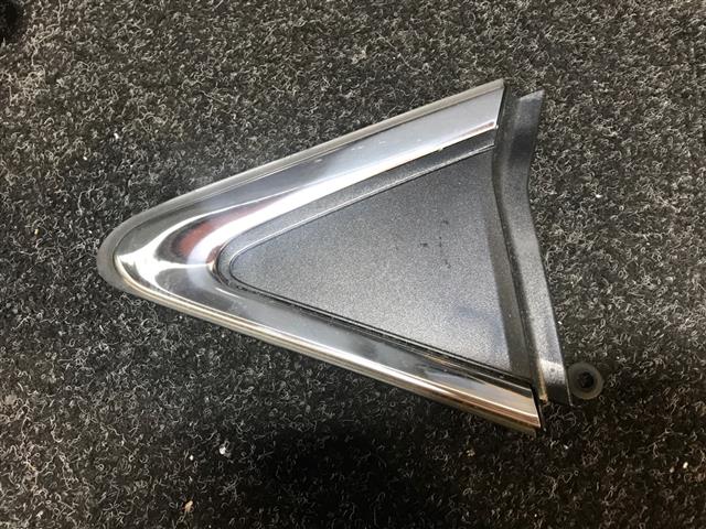 Rr Guard Moulding