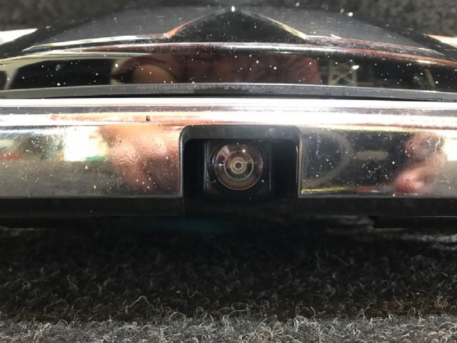 Grille Camera