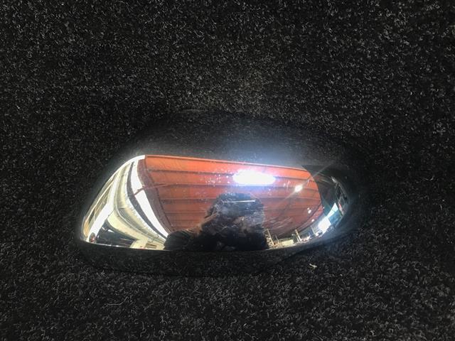 Lf Door Mirror Cover