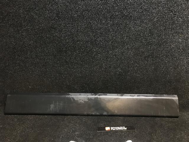 Rr Door Moulding