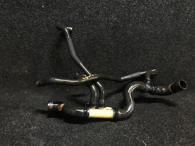Radiator Hose (lower)