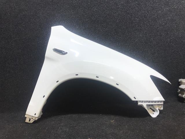 Rf Guard/fender (flare Type)