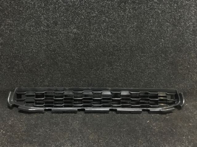 Front Bumper Grille Lower