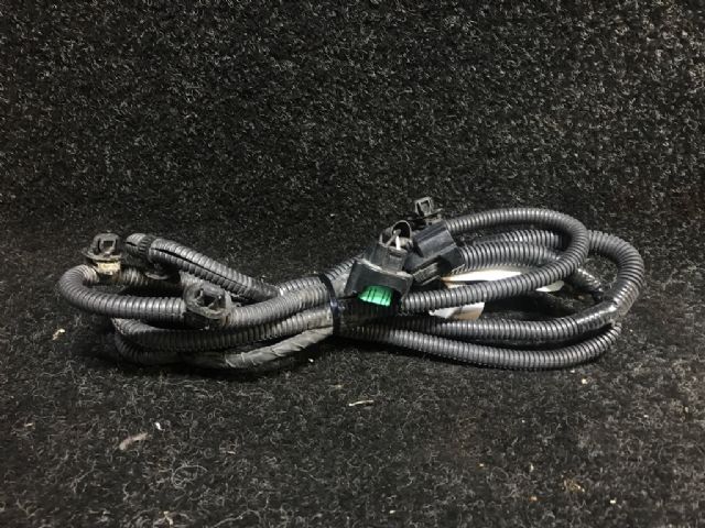 Wiring Loom