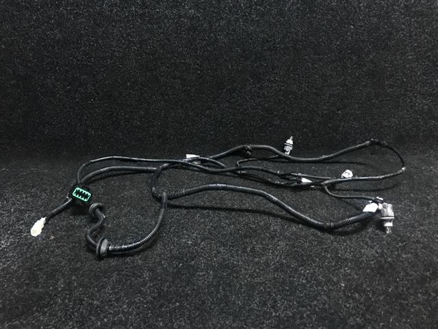 Wiring Loom