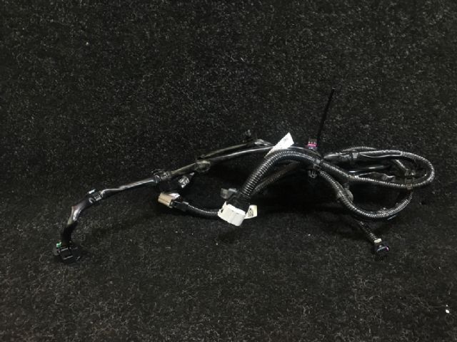 Wiring Loom