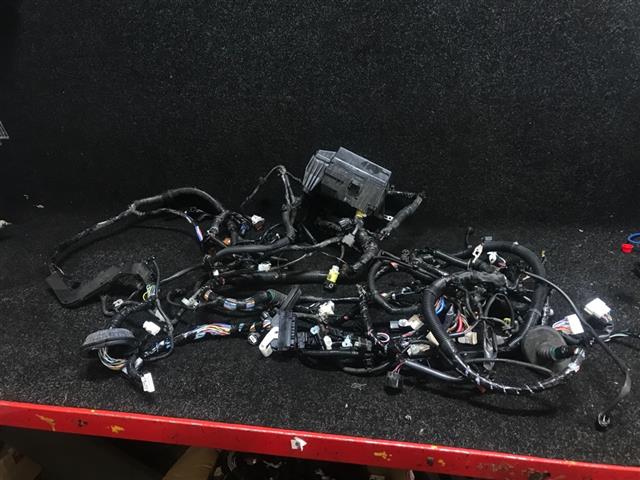Engine Wiring Loom