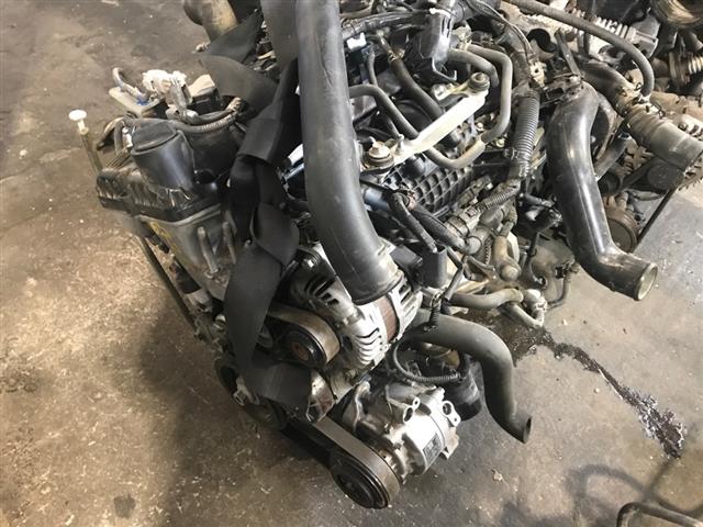 Engine Assembly