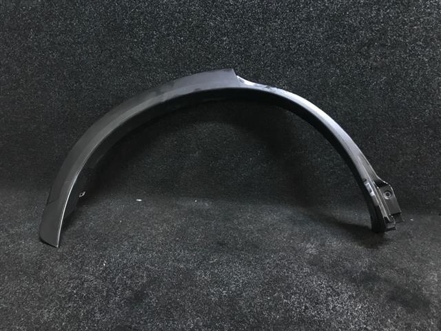 Rr Guard Moulding