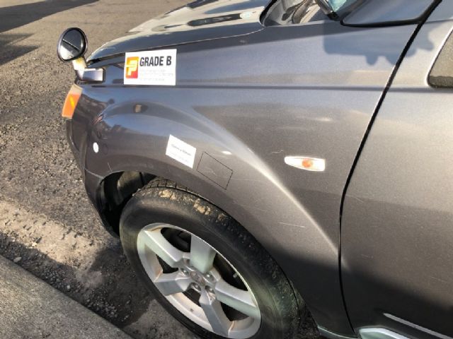 Lf Guard/fender