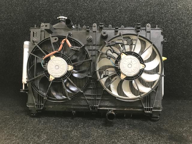 Radiator Electric Fan Assembly