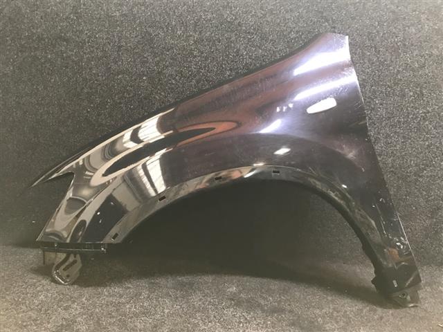 Lf Guard/fender (flare Type)