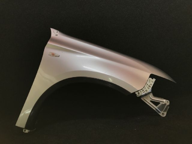 Rf Guard/fender