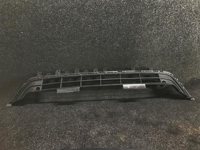 Front Bumper Grille Lower