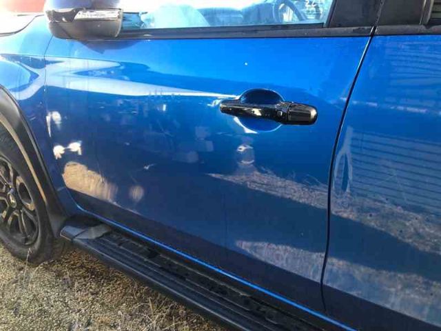 Lf Door Shell