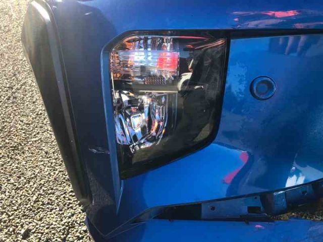 Rf Bumper Light (2 Bulb)