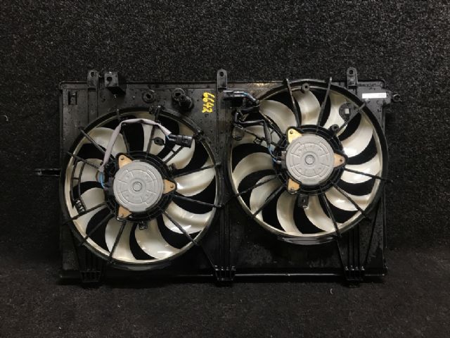 Radiator Electric Fan Assembly