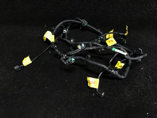 Wiring Loom