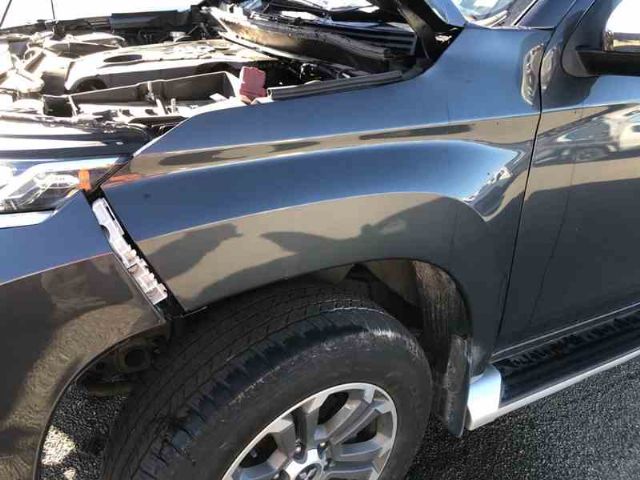 Lf Guard/fender