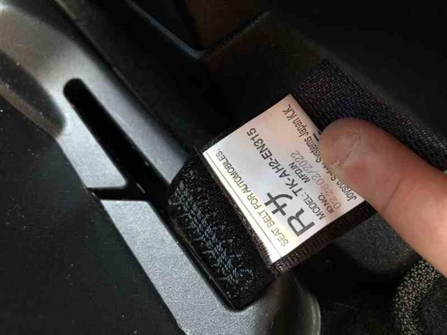 Lf Seat Belt