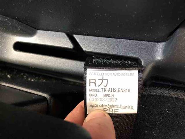 Rf Seat Belt