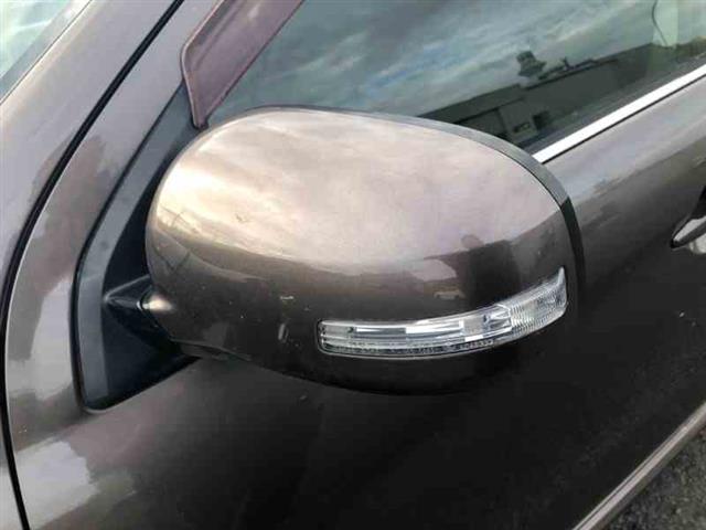 Lf Door Elec Mirror (9 Wire)
